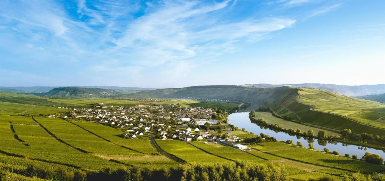 雷温Ferienweingut Ulrike Thul公寓 外观 照片