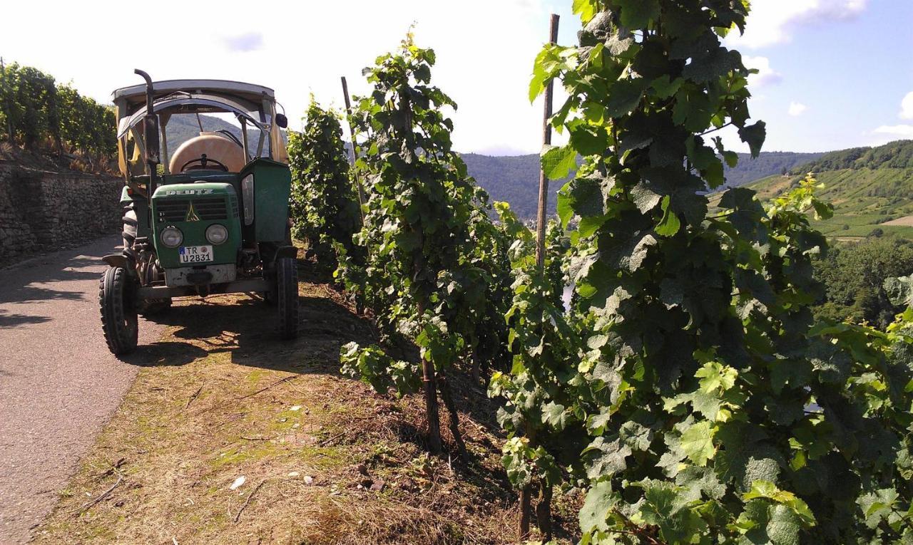 雷温Ferienweingut Ulrike Thul公寓 外观 照片