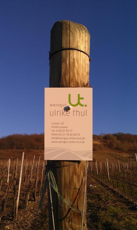 雷温Ferienweingut Ulrike Thul公寓 外观 照片